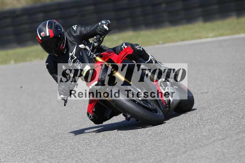 /46 11.08.2025 PADDYS-RACES-DAYS ADR/Sport-Profi/5